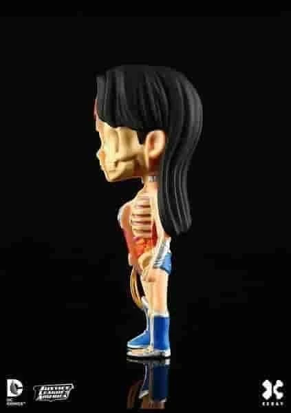 Wonder Woman XXRAY Dissected Mighty JAXX & Kidrobot Mini Figure New