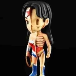 Wonder Woman XXRAY Dissected Mighty JAXX & Kidrobot Mini Figure New