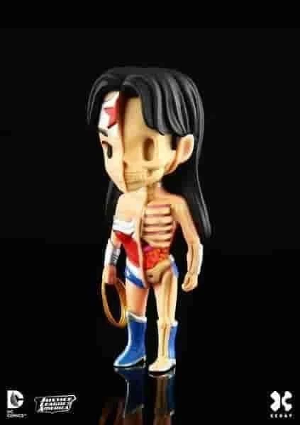 Wonder Woman XXRAY Dissected Mighty JAXX & Kidrobot Mini Figure New