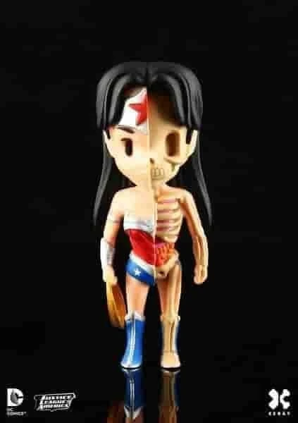 Wonder Woman XXRAY Dissected Mighty JAXX & Kidrobot Mini Figure New