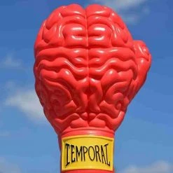 Boxing Brain Series 4.75