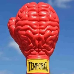 Boxing Brain Series 4.75